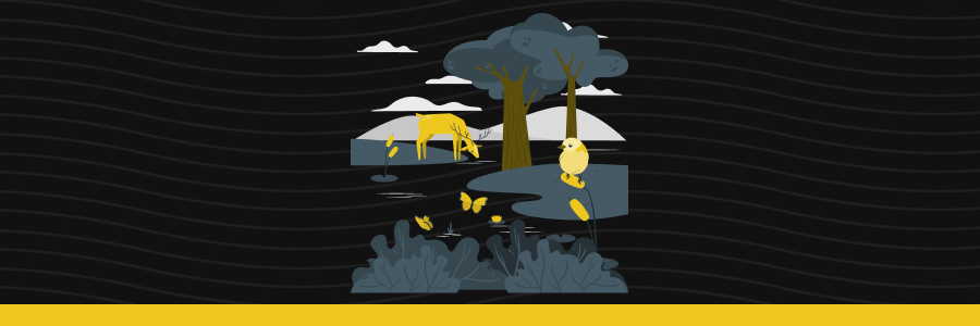 Mejor app para medir calidad del aire - TICs y Sostenibilidad