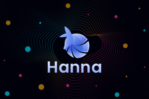 Nuestro propio software ERP de gestión interna - Hana (1)