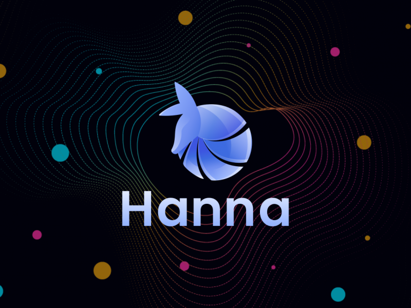 Nuestro propio software ERP de gestión interna - Hana (1)