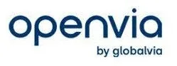 openvia outsourcing it-